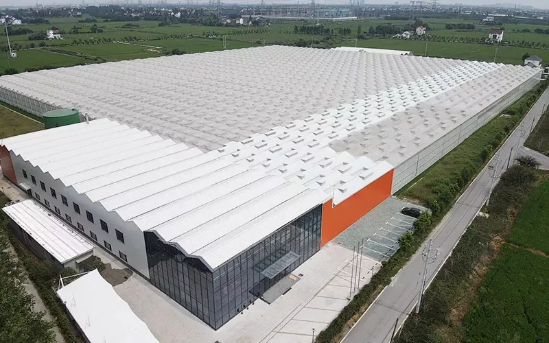 „MultiSpan Glass“ šiltnamio pranašumai