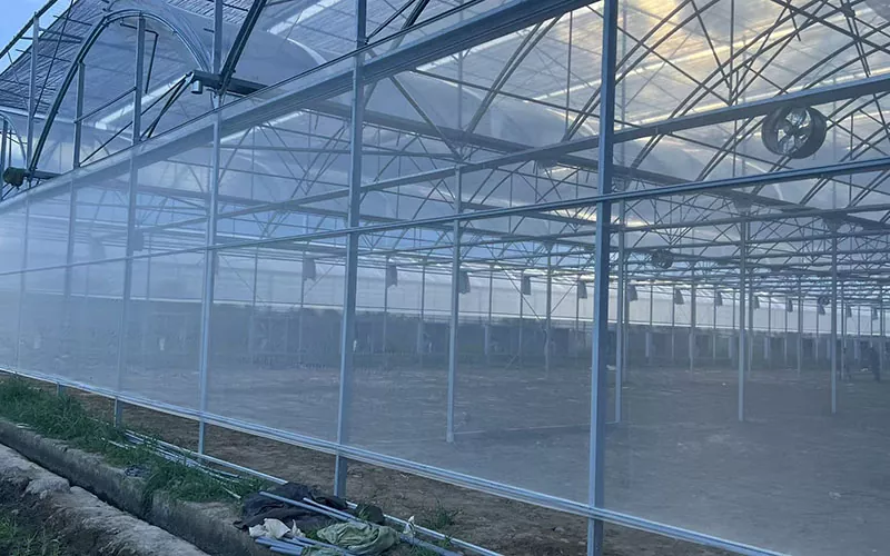 Šiltnamio efektą sukeliančių vabzdžių tinklas lemia naują kenkėjų kontrolės tendenciją