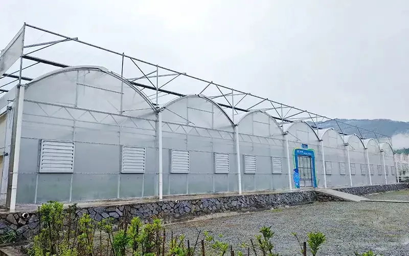 Plastikinių šiltnamių technologinė transformacija: slaptas ginklas, skirtas padvigubinti derlių